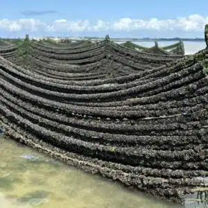 cordes_moules