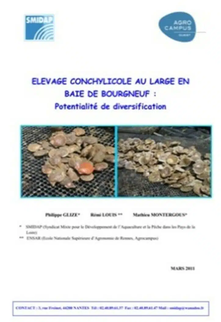 elevage-conchylicole-au-large-de-la-baie de-bourgneuf-potentialité-diversification