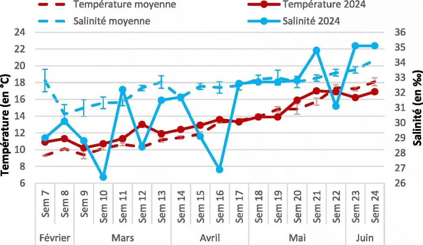 mini_bilan_larvaire_2024