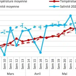 mini_bilan_larvaire_2024