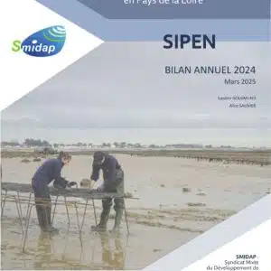 mini_sipen_2024