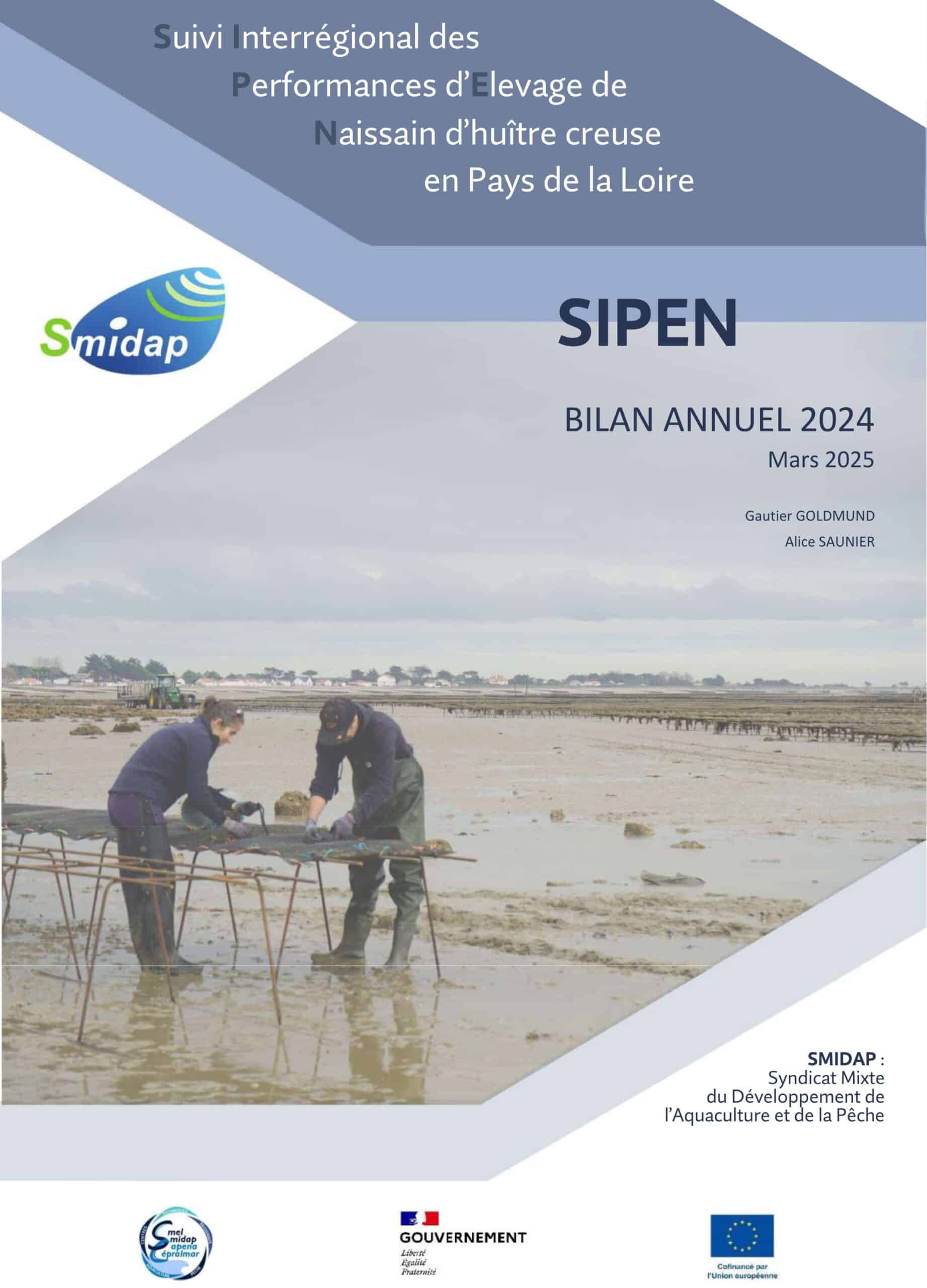 mini_sipen_2024