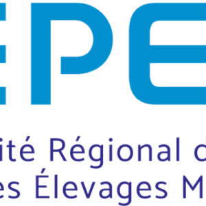 Nouveau logo COREPEM