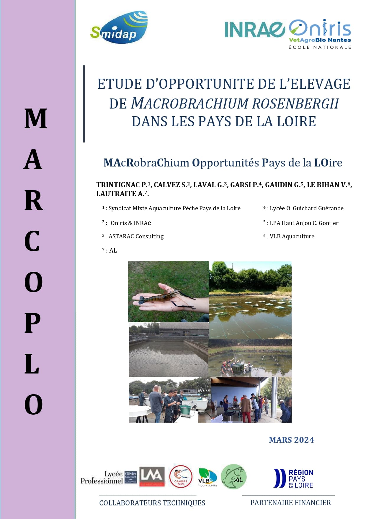 premiere_marcoplo