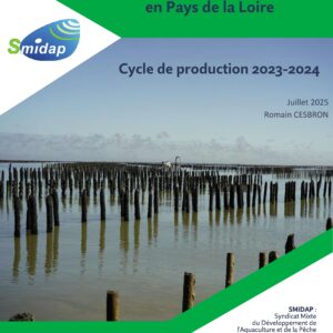 RAPPORT TECHNIQUE Suivis mytilicoles 2023-2024_premiere