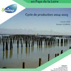 RAPPORT TECHNIQUE Suivis mytilicoles 2024-2025-1_page-0001