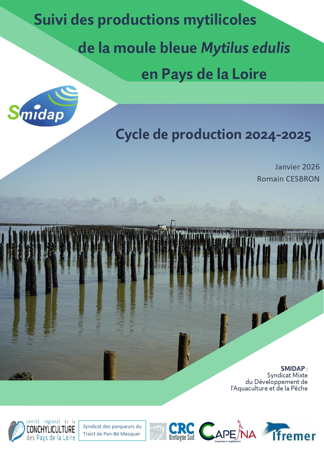 RAPPORT TECHNIQUE Suivis mytilicoles 2024-2025-1_page-0001