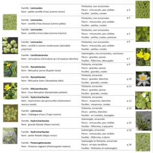 sommaire hydrophytes