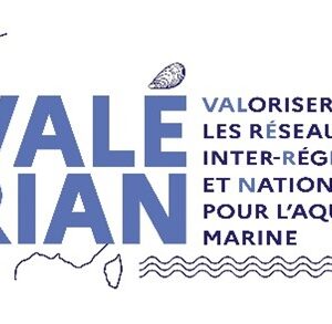 valerian