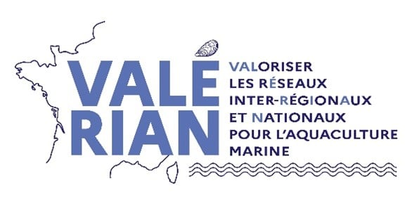 valerian